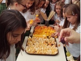 alimenta&ccedil;&atilde;o 4