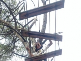 arb31