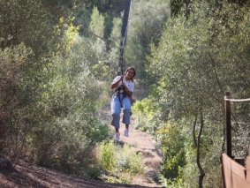 arb10