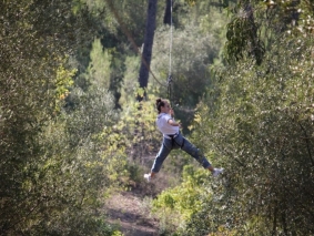 arb23