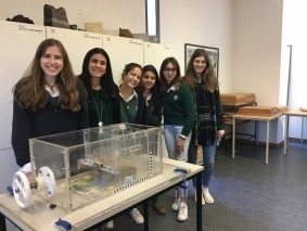 Turma
