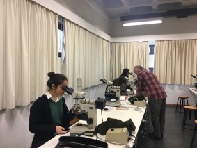 Microscópios petrográficos II