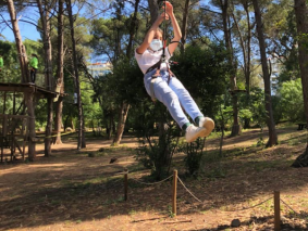 ARB3