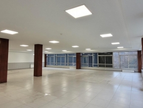 cedros6
