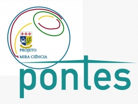 pontes2
