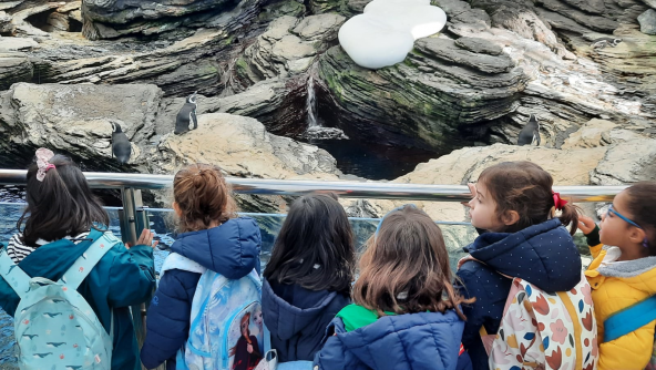 Planalto - A Infantil foi ao Oceanário! 