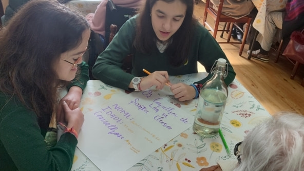 Planalto - Voluntariado 3º Ciclo