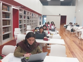 tutoria5