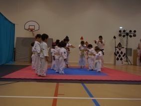 judo9