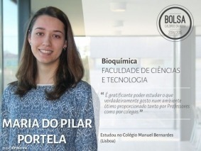 pilar