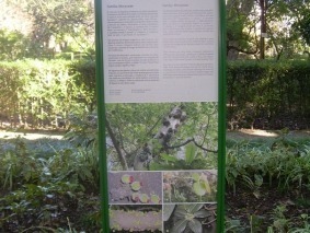 DSCN5488