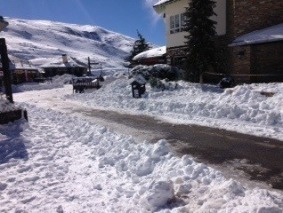 image1 (3)