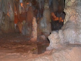 DSCN2068