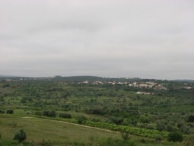 IMG_0104