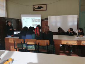 tecn15