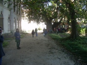 DSCN5487