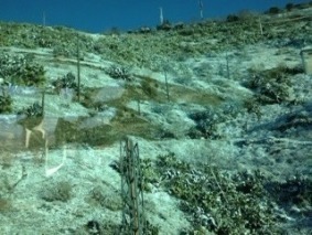 image1 (5)