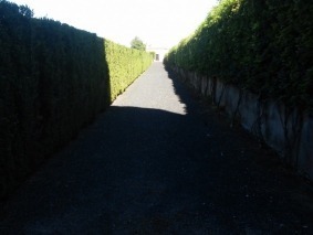 20150918_104556