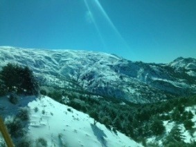 image1 (16)