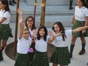 dia col7