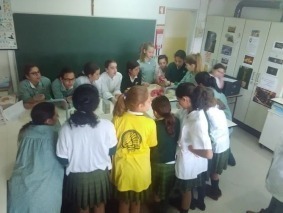 animais 3