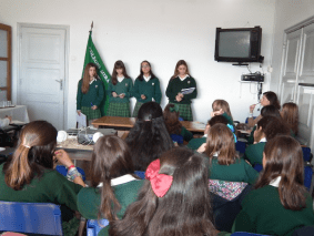 CAlunas15