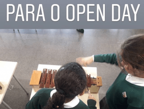 open13