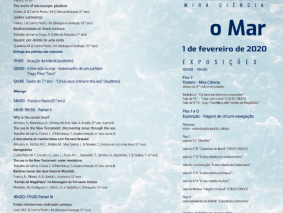 Mira Prog1