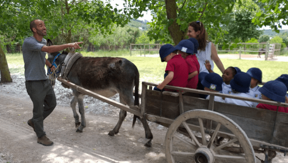 Planalto - Passeio à Quinta da Granja